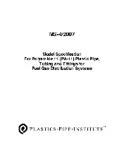 PPI MS-4 2007