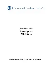 PPI TN-21 2013