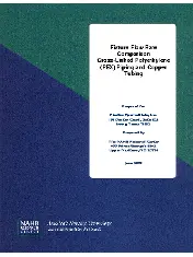 PPI  2008