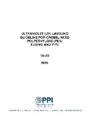 PPI TN-32 2025