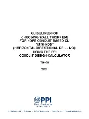PPI TN-48 2021