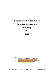 PPI TN-51 2018