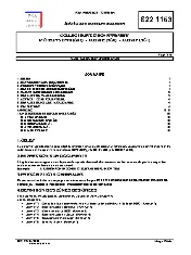 PSA S22 1163 1999