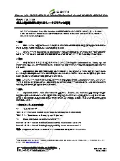 SEMI T18-1106N (Japanese)
