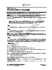 SEMI T13.2-1104 (Japanese)