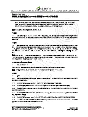 SEMI T5-1106N (Japanese)
