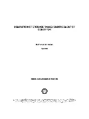 SHELL 34.51.90.10 2006