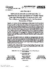 SSPC CS 23.00 2003