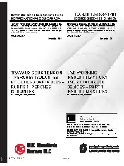 ULC 60832-1-10 2010