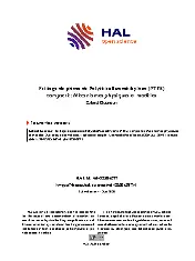 Frittage de pièces de Polytétrafluoroéthylène (PTFE) compacté : Mécanismes physiques et modèles